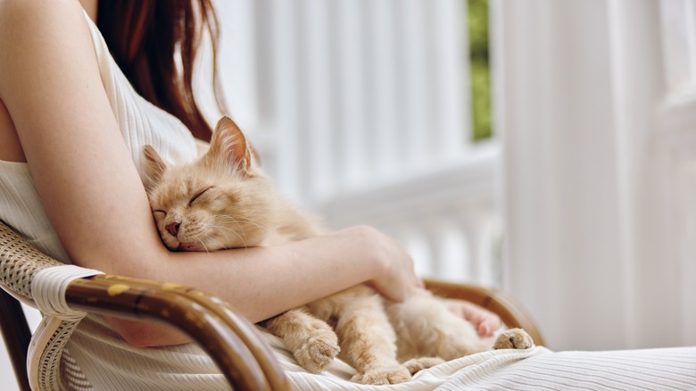 Woman with sleeping cat in lap