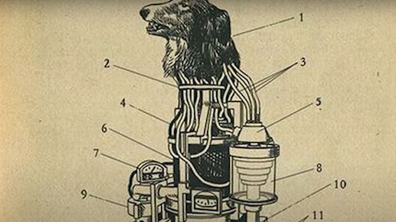 Decapitated dog-and-machine diagram