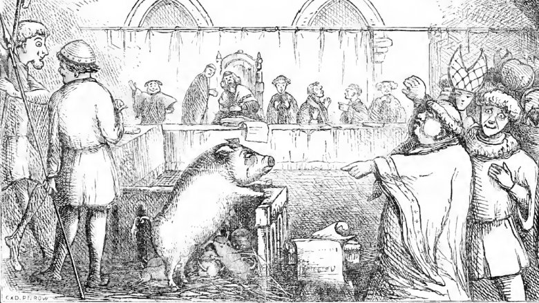 animal trials middle ages