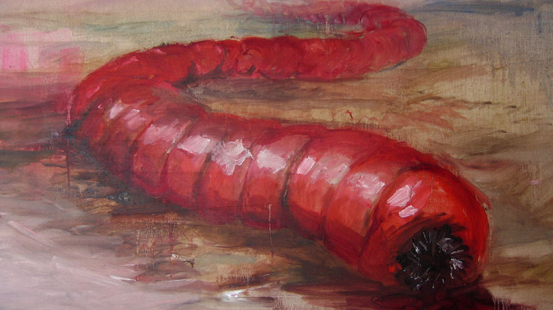 A Mongolian death worm slithers
