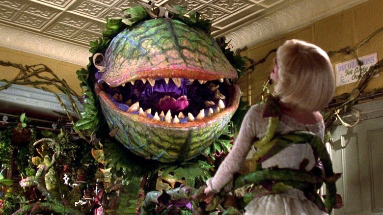Audrey II from Little Shop of Horrors