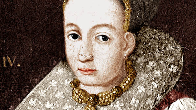 Portrait of Elizabeth Bathory