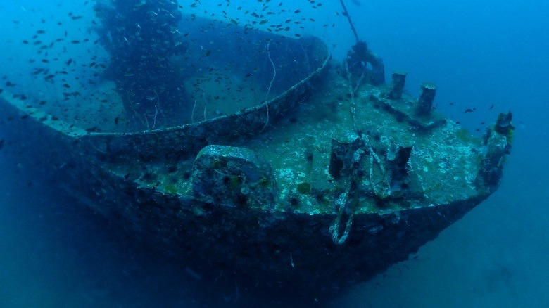 Decaying underwater shipwreck surrounded by fish