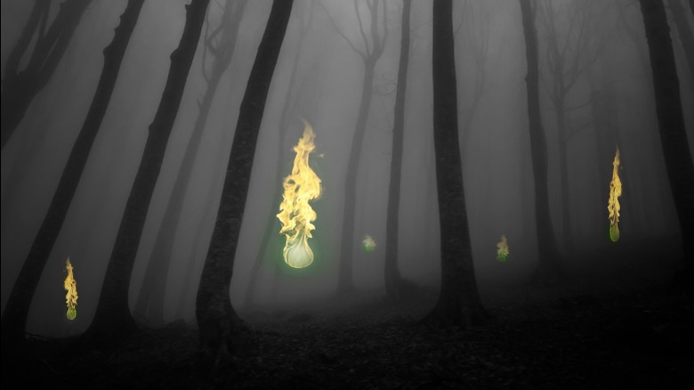 Illustration of floating lights in foggy forest