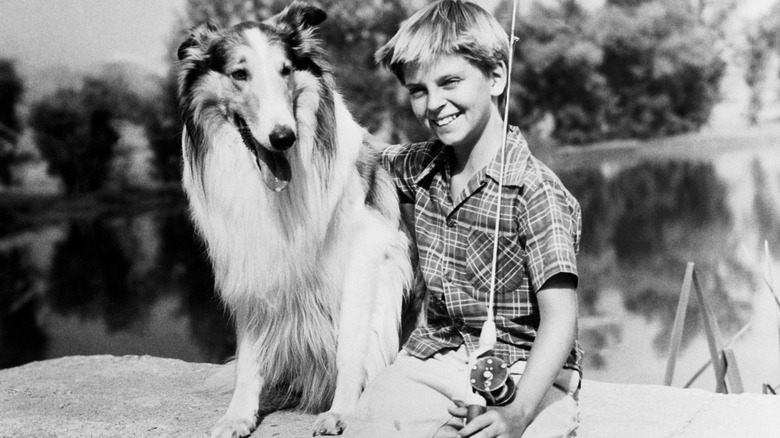 Tommy Rettig with Lassie