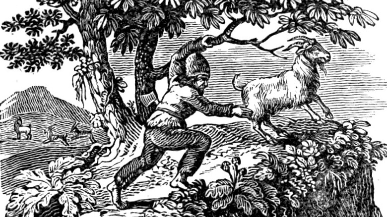 Alexander Selkirk catching a goat