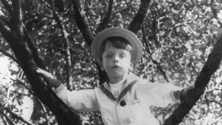Quentin Roosevelt in tree