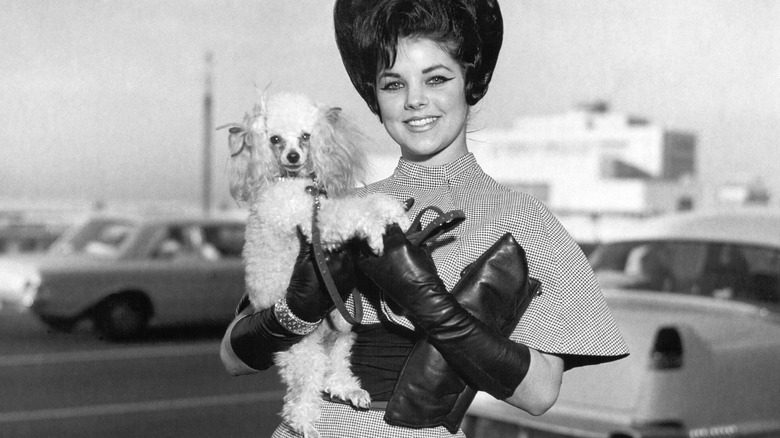 Priscilla Presley dressed up with a dog