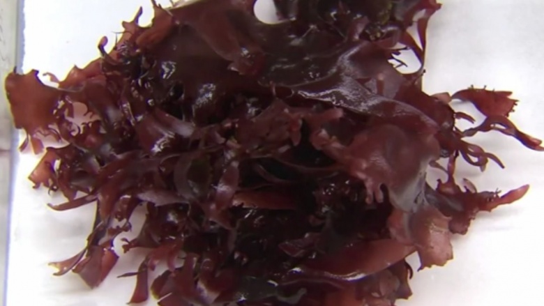 bacon seaweed