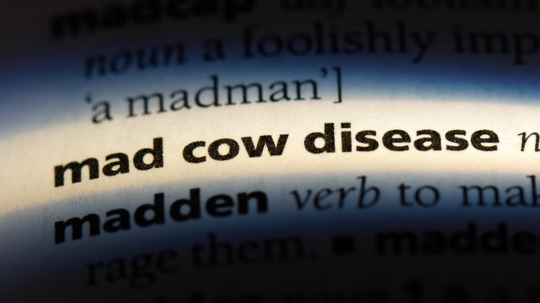 dictionary entry for mad cow disease