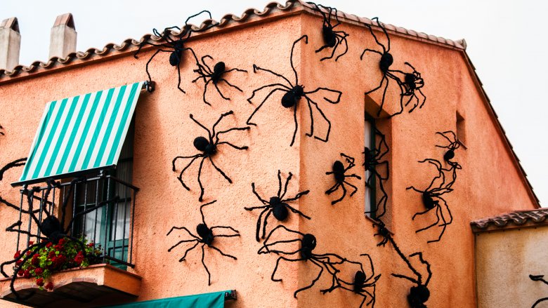 House covered with spiders