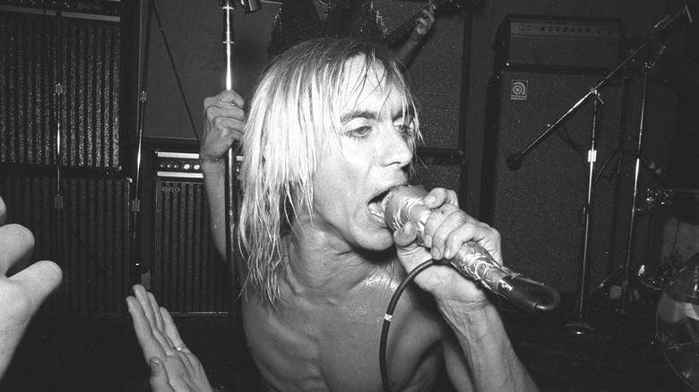 Iggy Pop performing on stage