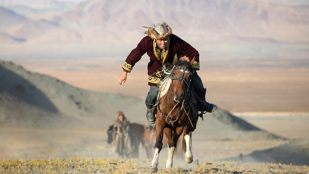 mongolian riding horse