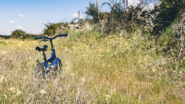 bike abandoned in a field