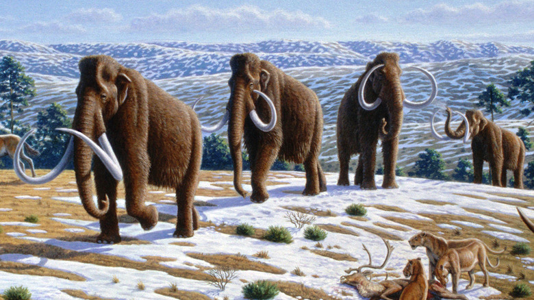 Artist's impression of a herd of mammoths