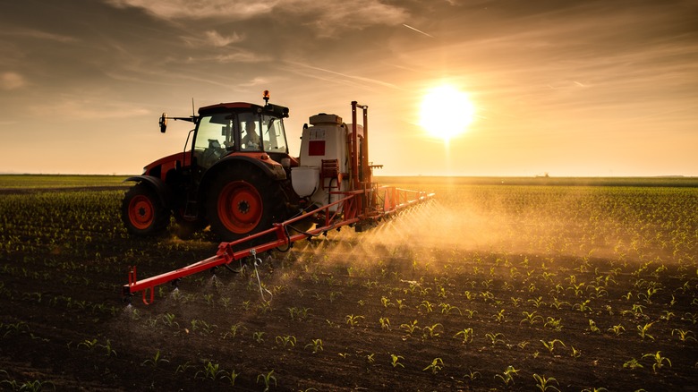 Farm field being sprayed with pesticide