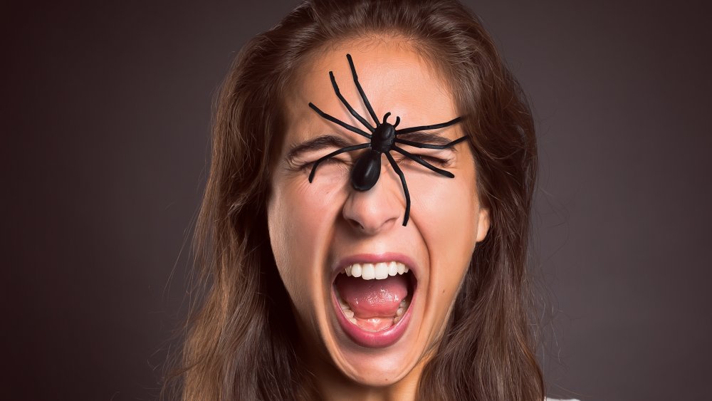 Spider on face