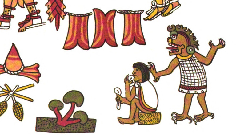 aztec illustration man consuming mushrooms