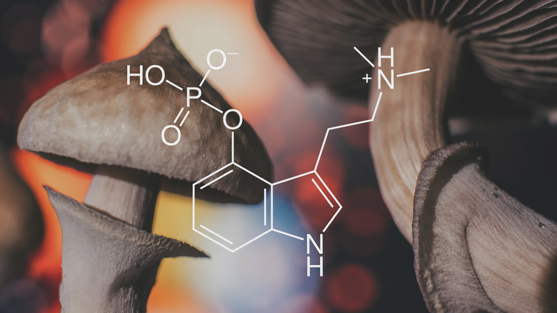 psilocybin chemical formula over mushrooms