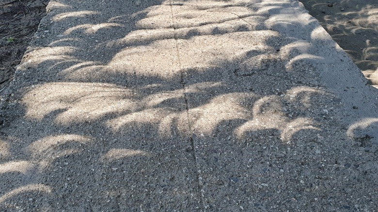 Solar eclipse little pinhole shadows