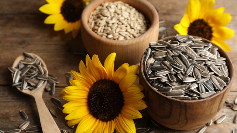 Sunflower seeds and flowers