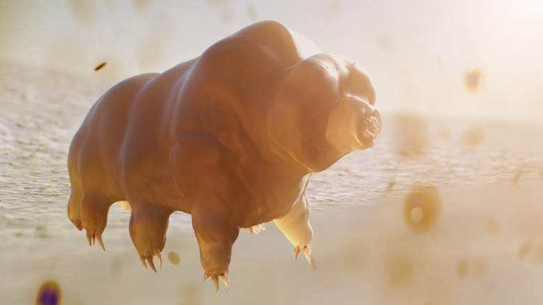 A floating CGI tardigrade