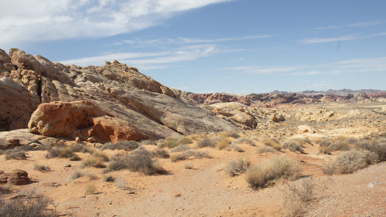 A scorching desert landscape