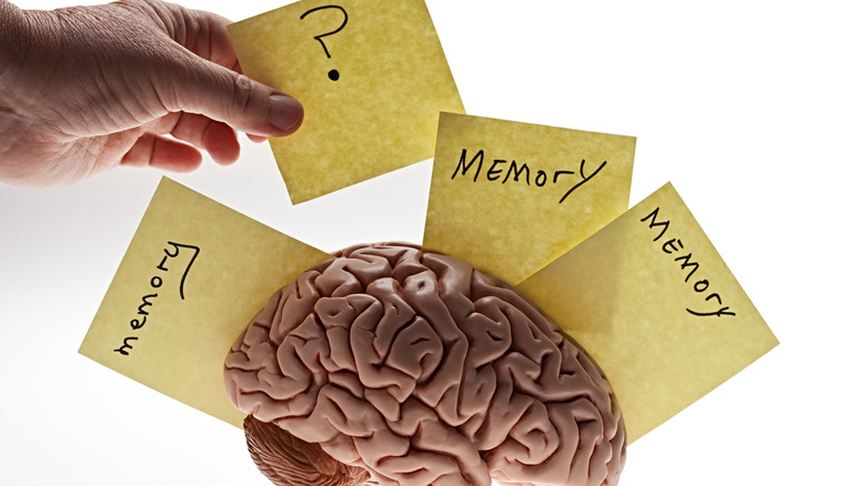 Memory stickies sticking out of brain 