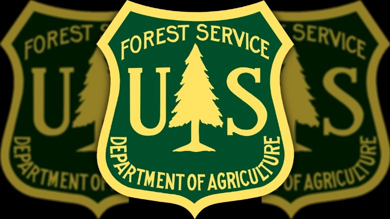 Logo of the U.S. Forest Service