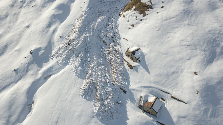 another avalanche in the Alps