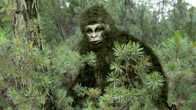Bigfoot in the forest