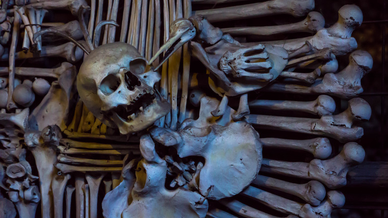 plague bones ossuary Kutna Hora