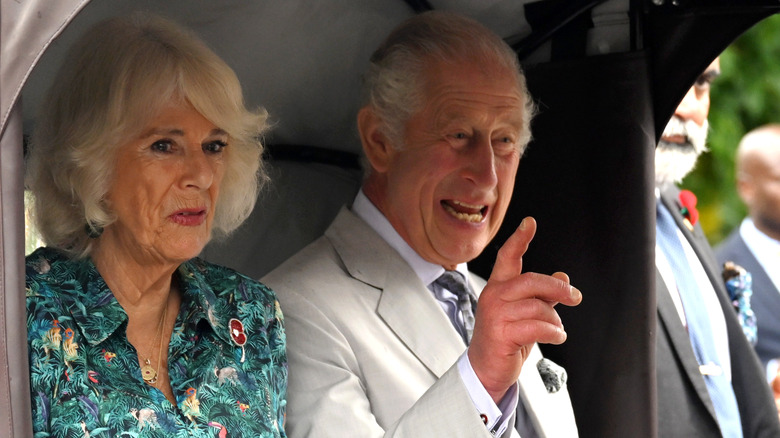 Charles and Camilla smiling in car