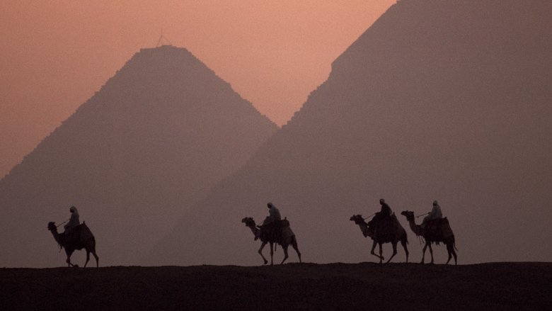 Four men riding camels near the Pyramids of Giza