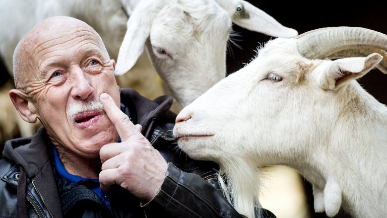 Dr. Pol and goats