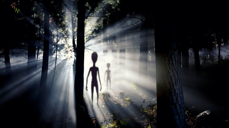 Aliens in a forest