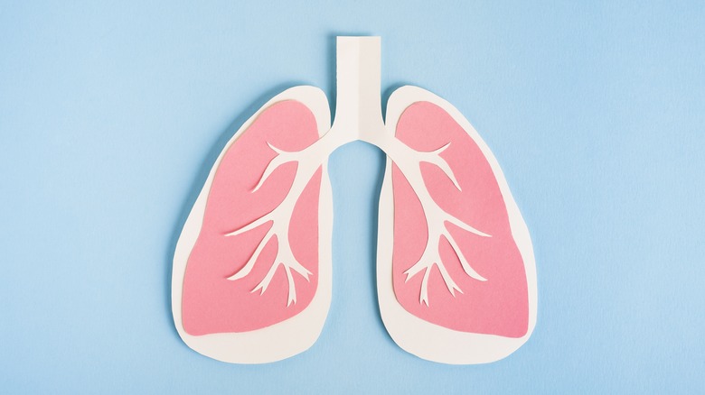 Stylized lungs on a blue background