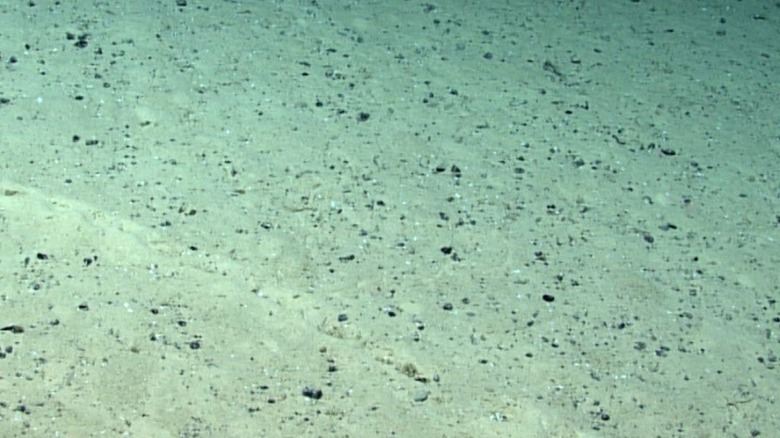 wider view of ocean holes