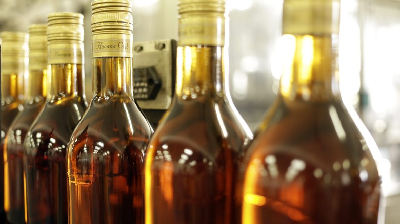 Bottles move through production line
