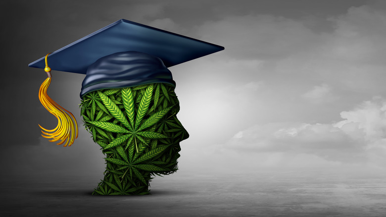 Cannabis textured head with student cap