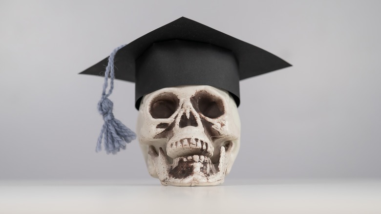 Toy skull student cap white background