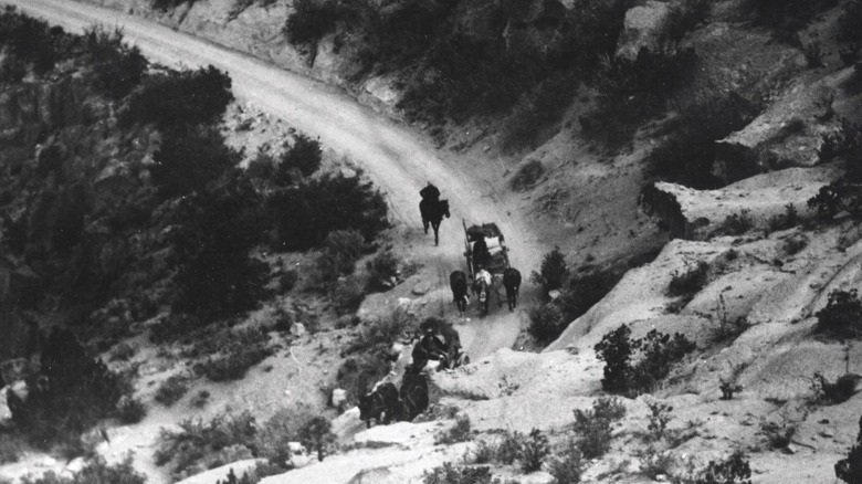 Horse and buggy through winding desert road