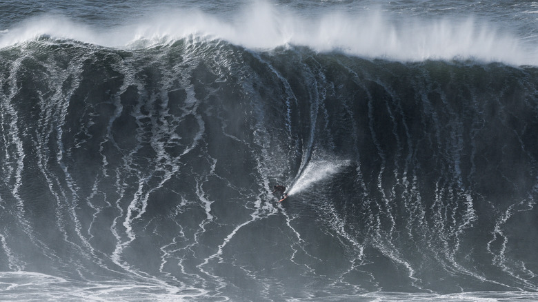 surfer rides big wave nazare