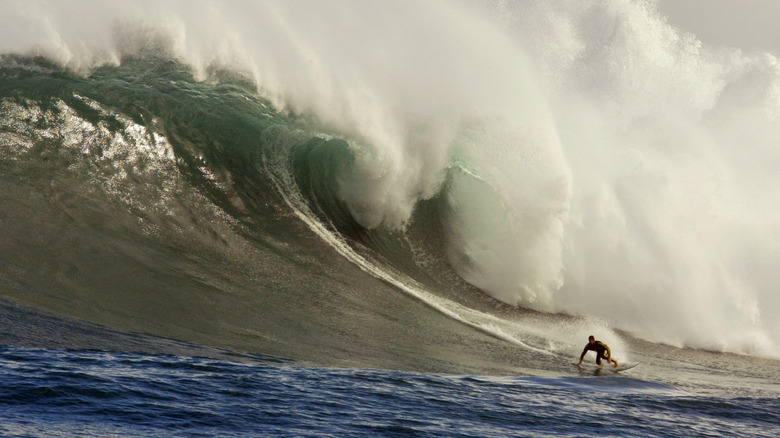 wave crashing toward surfer dungeons