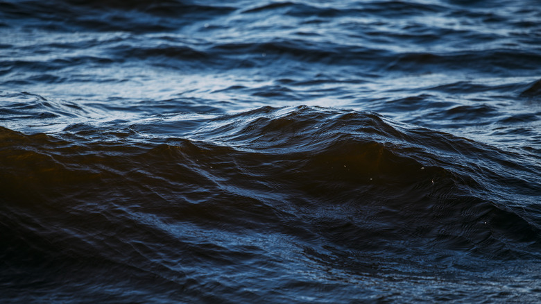 Dark blue ocean surface