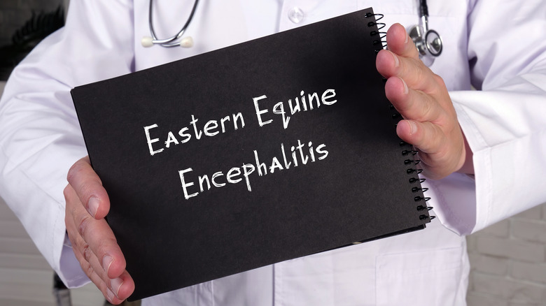 Doctor's hands holding a sign saying "Eastern Equine Encephalitis"
