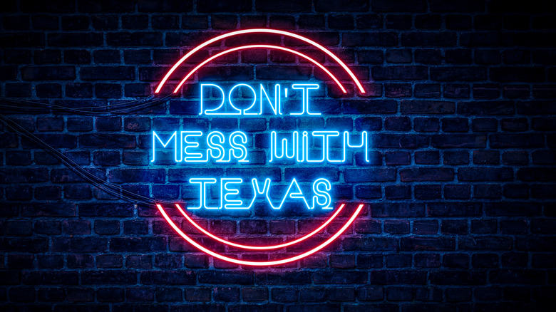 Don't mess with texas neon sign 