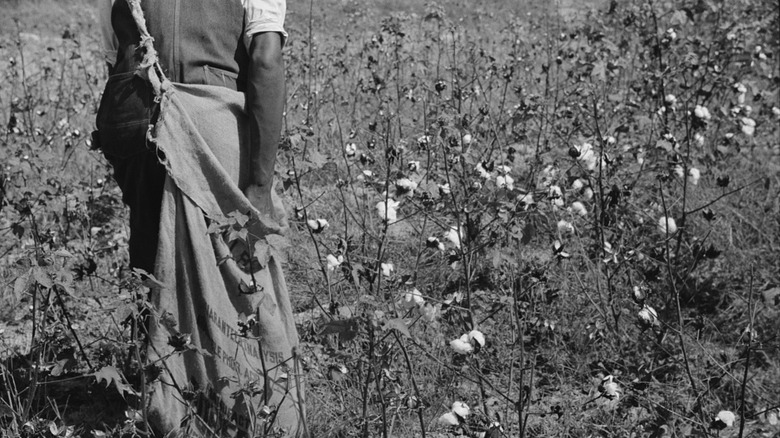 Black woman sharecropper