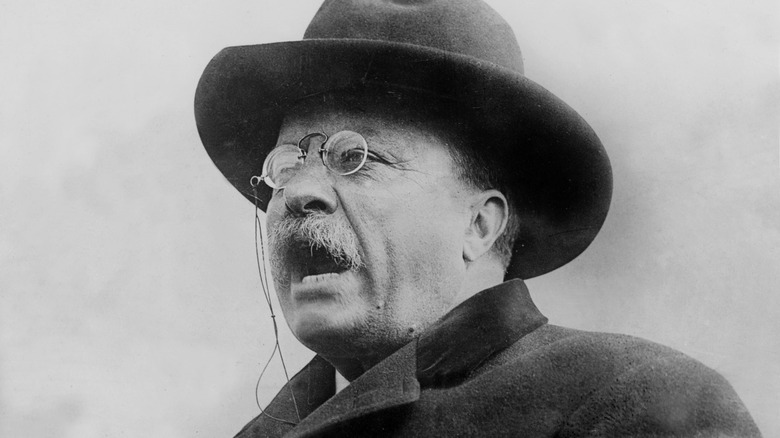 Theodore Roosevelt in hat and glasses