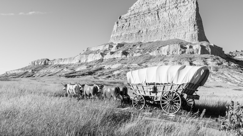 Conestoga wagon on trail rock formations